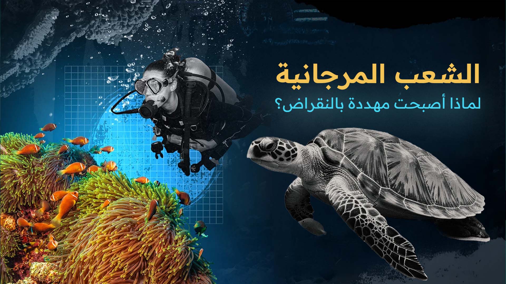الشعب المرجانية